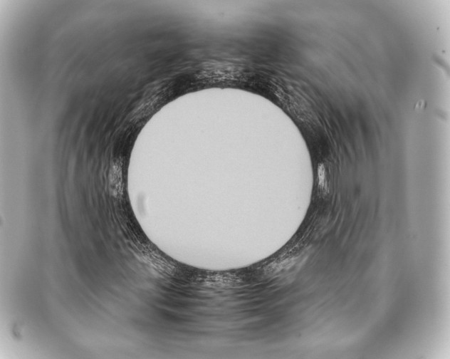 X0000094971203200712271734