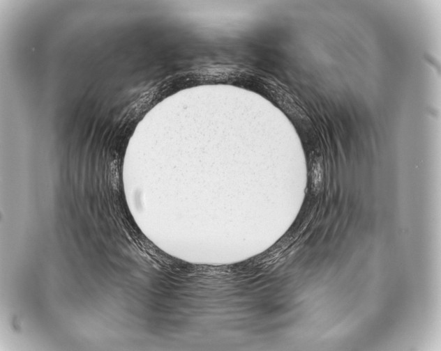 X0000094971204200712271734