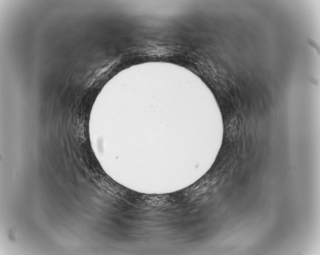 X0000094971205200712271734