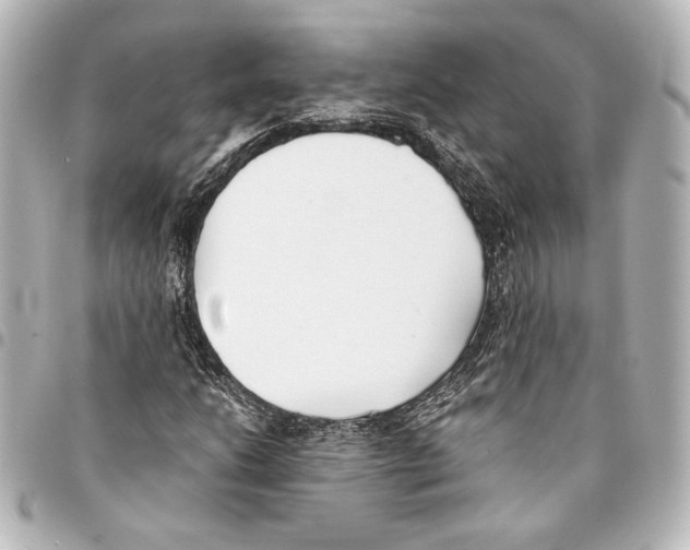 X0000094971206200712271734