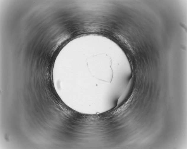 X0000094971210200712271734