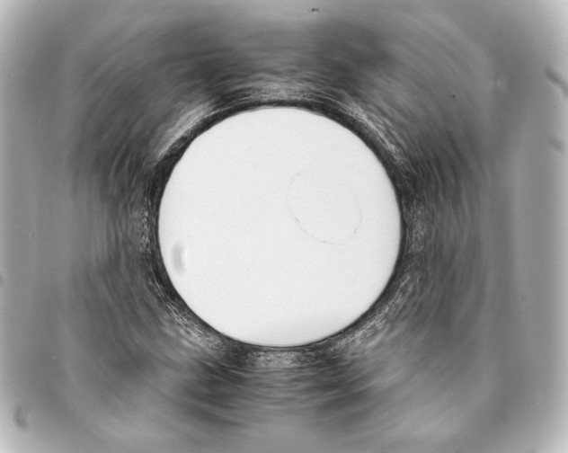 X0000094971211200712271734