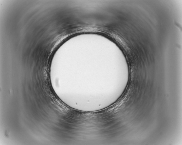 X0000094971212200712271734