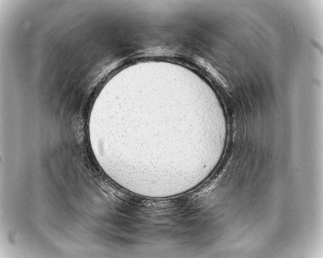 X0000094971213200712271734