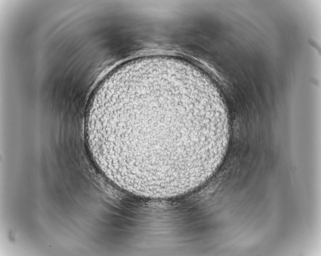 X0000094971220200712271734