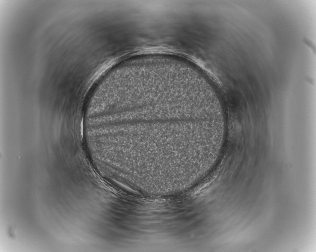 X0000094971221200712271734