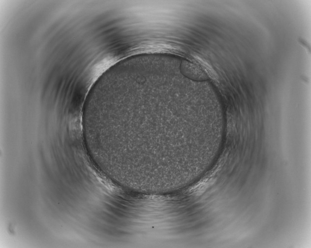 X0000094971226200712271735