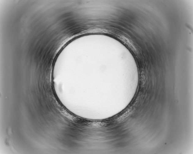 X0000094971228200712271735