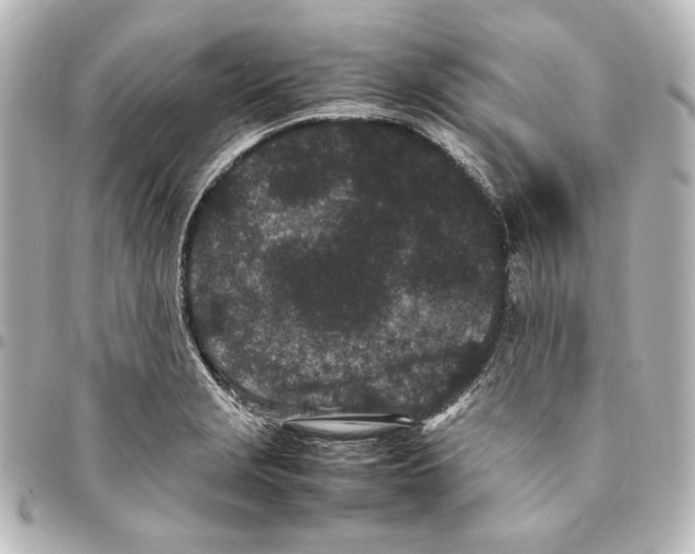 X0000094971229200712271735