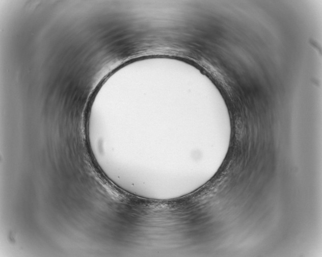 X0000094971230200712271735