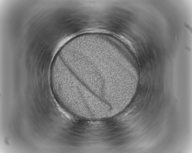 X0000094971231200712271735