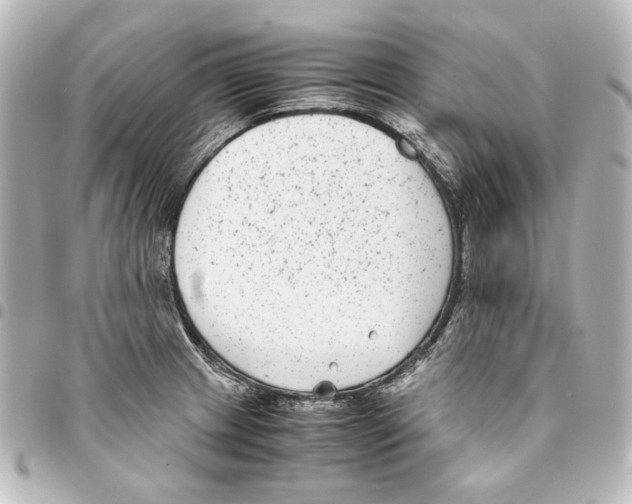 X0000094971233200712271735