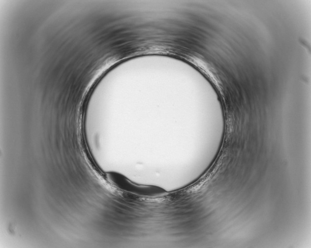 X0000094971235200712271735