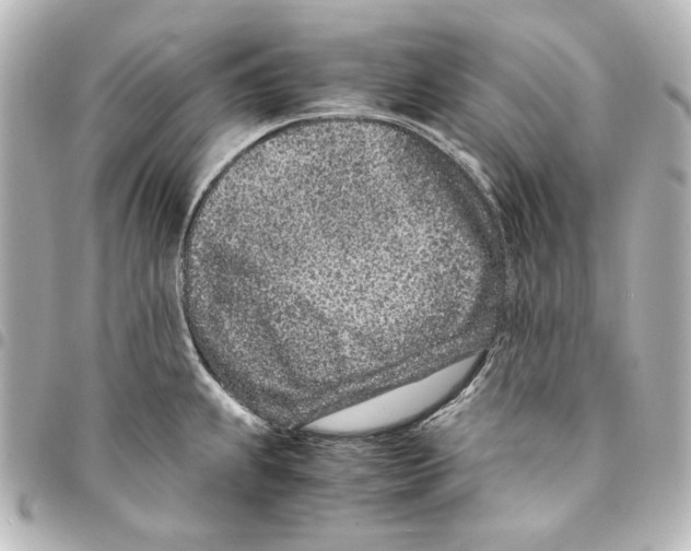 X0000094971239200712271735