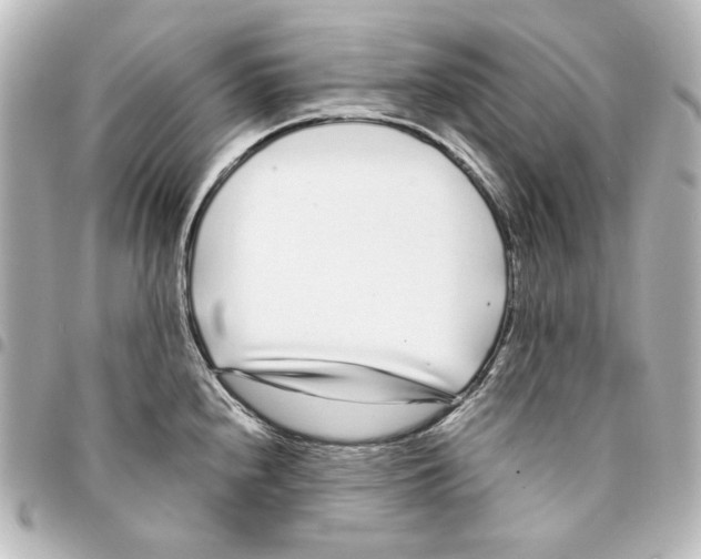 X0000094971240200712271735