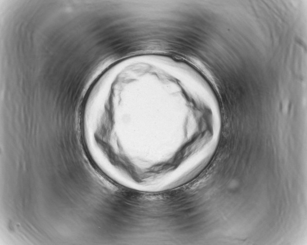 X0000094971243200712271735