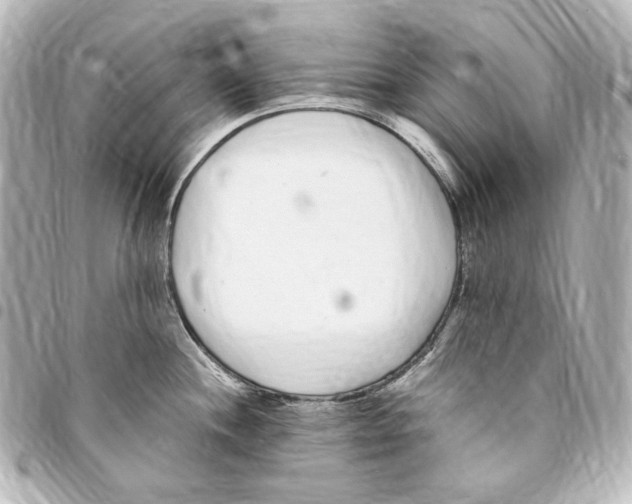 X0000094971244200712271735