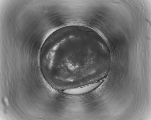 X0000094971246200712271735