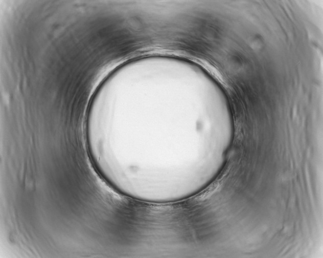 X0000094971247200712271735