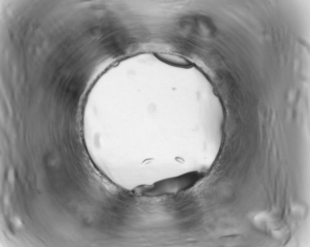 X0000094971248200712271735