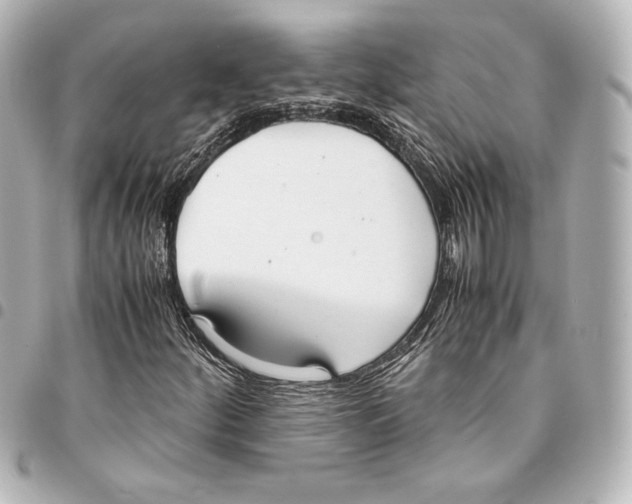 X0000094971252200712271734