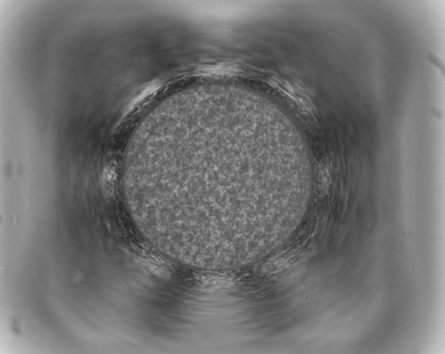 X0000094971254200712271734