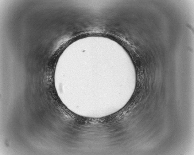 X0000094971255200712271734