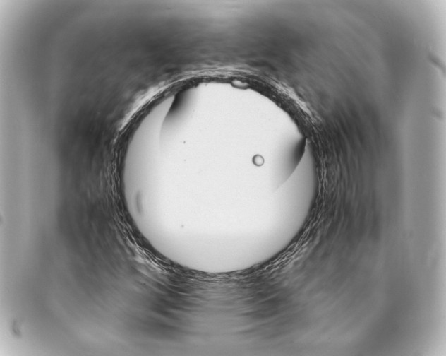 X0000094971256200712271734