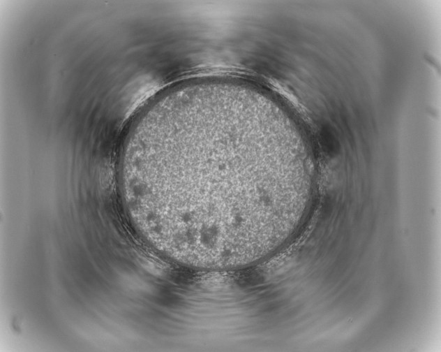 X0000094971259200712271734