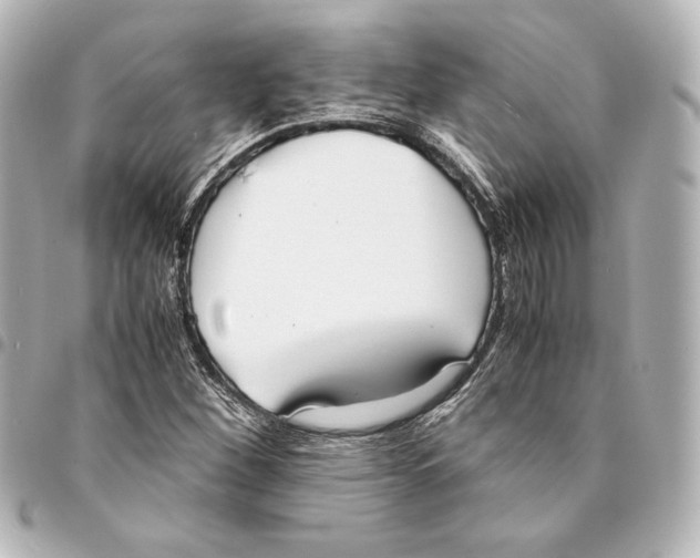 X0000094971260200712271734