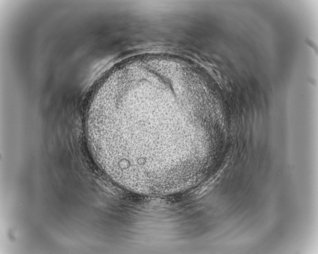 X0000094971263200712271734