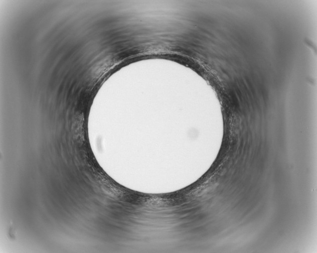 X0000094971265200712271734