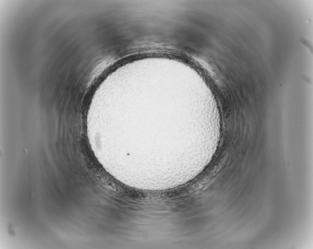 X0000094971267200712271734