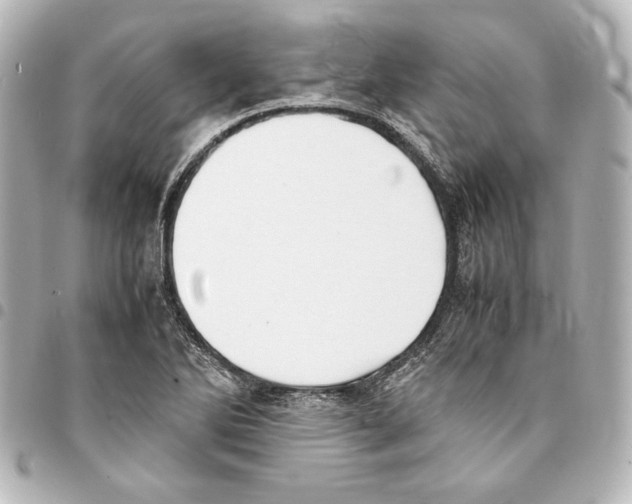 X0000094971270200712271734