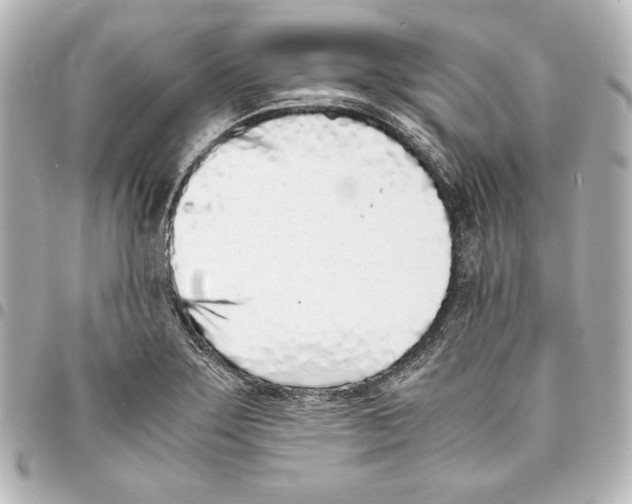 X0000094971275200712271734