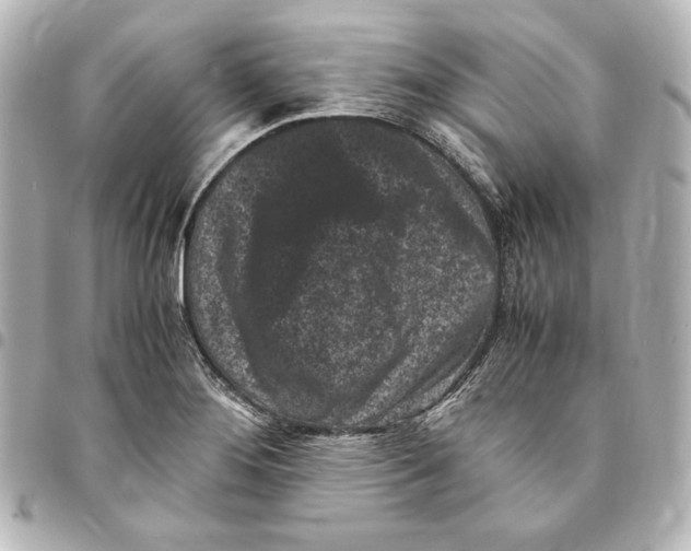 X0000094971276200712271734