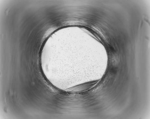 X0000094971277200712271734