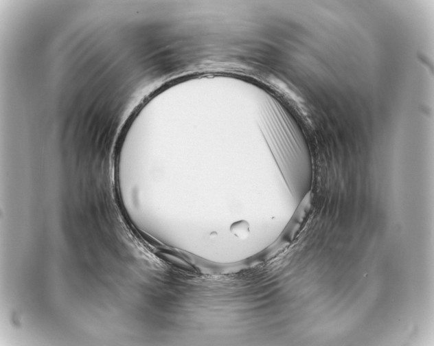 X0000094971280200712271734