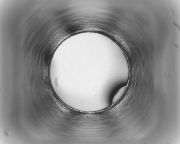 X0000094971281200712271734