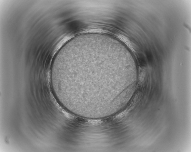 X0000094971282200712271734