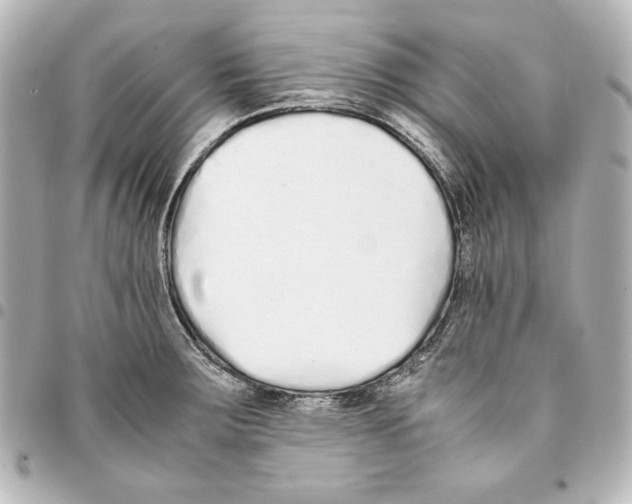 X0000094971283200712271734