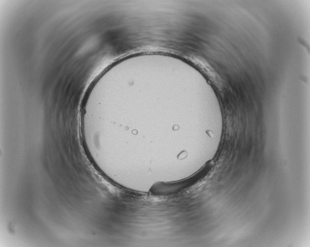 X0000094971286200712271734