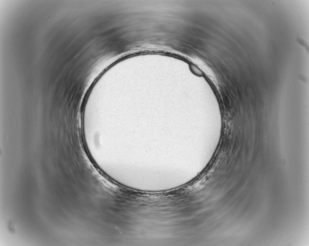 X0000094971287200712271734