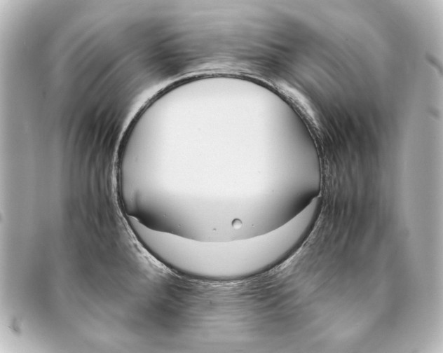 X0000094971288200712271733