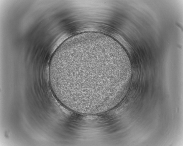 X0000094971290200712271733