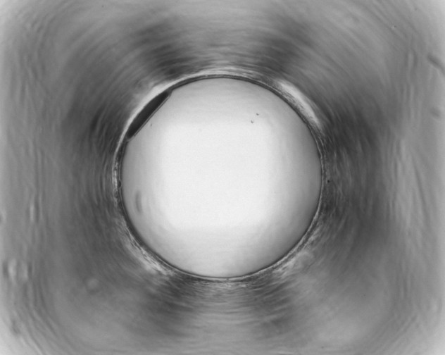 X0000094971292200712271733