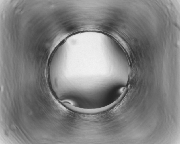 X0000094971293200712271733