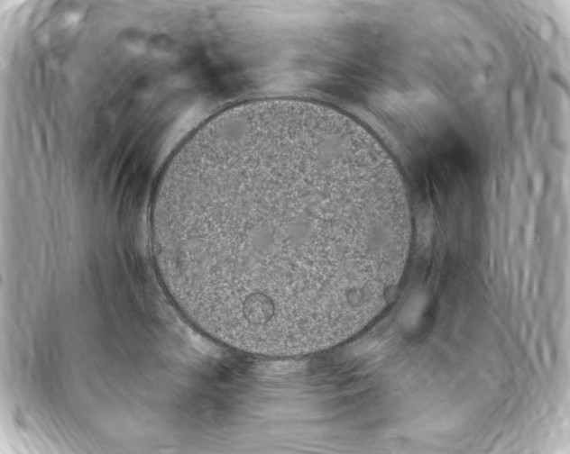 X0000094971294200712271733