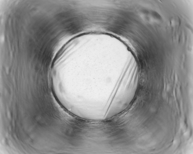 X0000094971295200712271733