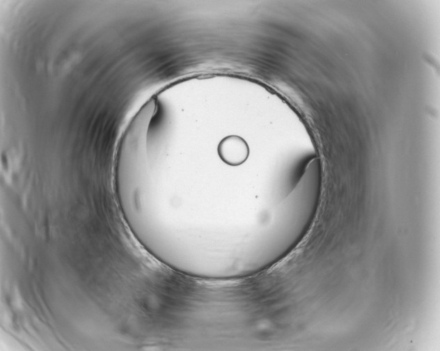 X0000094971296200712271733